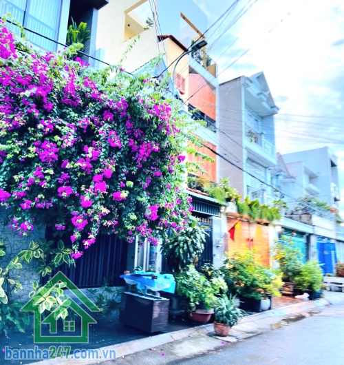 CHỈ 6,2 TỶ – HÓC MÔN – 2 MẶT TIỀN ĐƯỜNG – KHU BIỆT THỰ – 120M² – NGANG 8M – NHÀ CẤP 4 ĐANG CHO THUÊ
